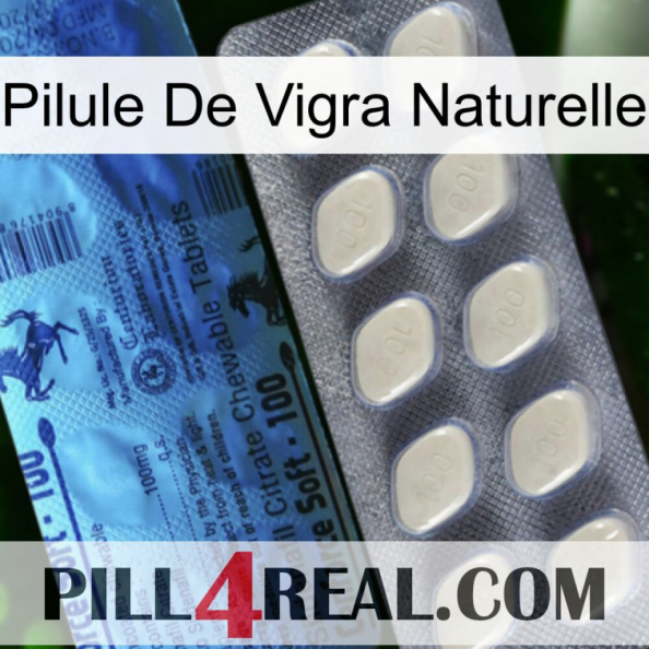 Natural Vigra Pill 34